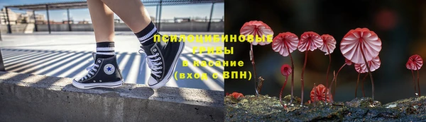 гидра Богданович