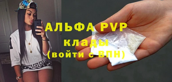 гидра Богданович