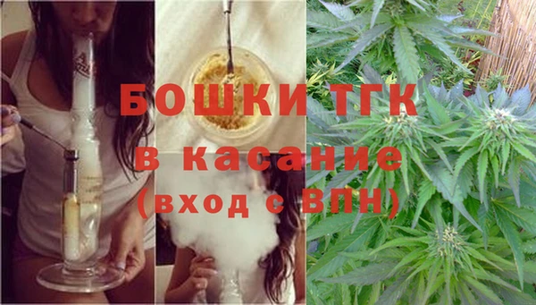 гидра Богданович