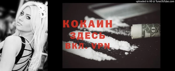 гидра Богданович