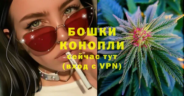 гидра Богданович