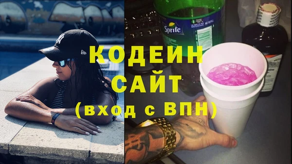 гидра Богданович