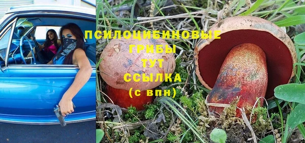альфа пвп Богородицк