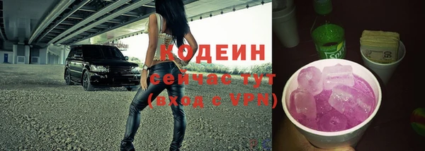 гидра Богданович
