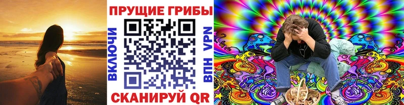 mega как зайти  Малоярославец  Галлюциногенные грибы Magic Shrooms 
