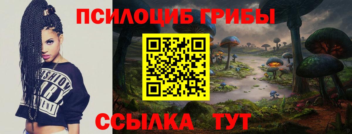 Псилоцибиновые грибы Psilocybine cubensis Малоярославец