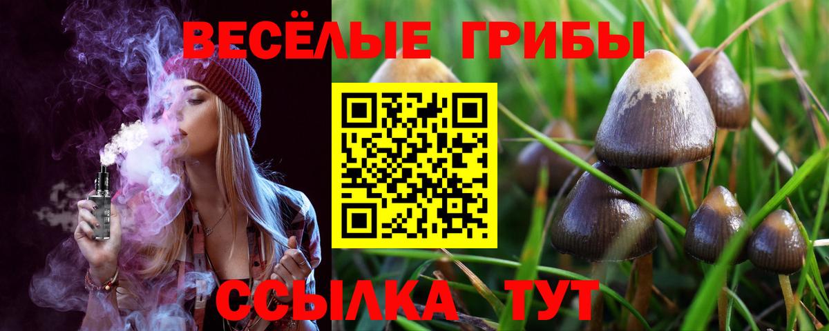 Галлюциногенные грибы Magic Shrooms  Вход с VPN  Галлюциногенные грибы Psilocybine cubensis  Малоярославец 